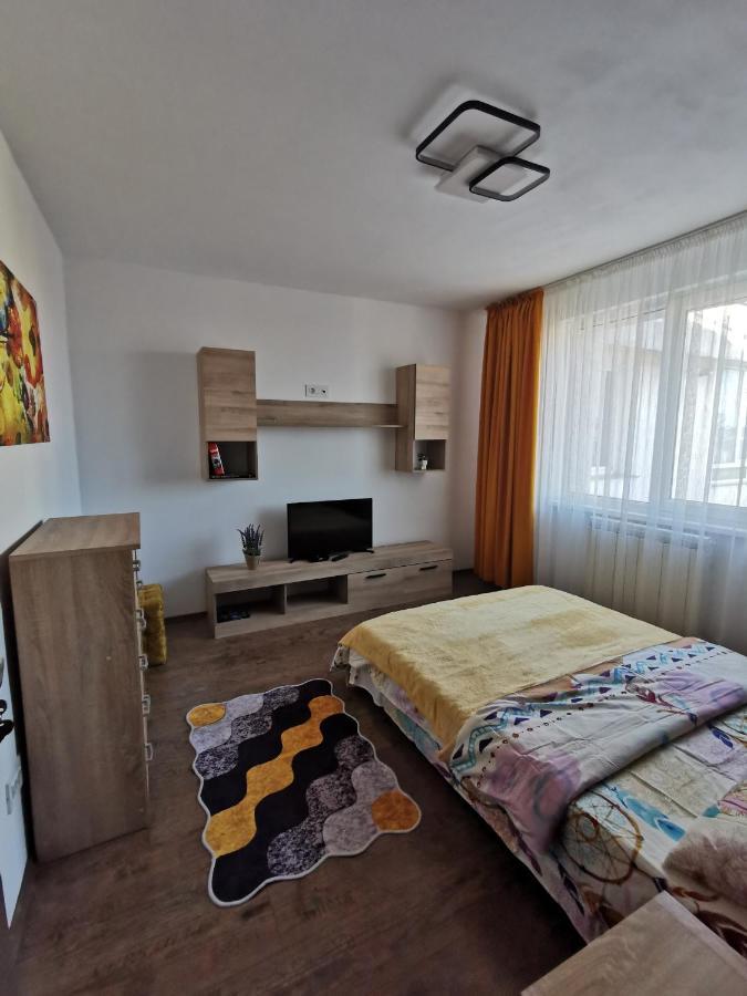 Apartament Asr Piatra Neamţ Dış mekan fotoğraf