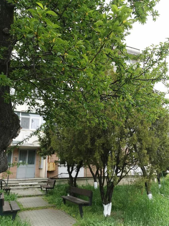 Apartament Asr Piatra Neamţ Dış mekan fotoğraf