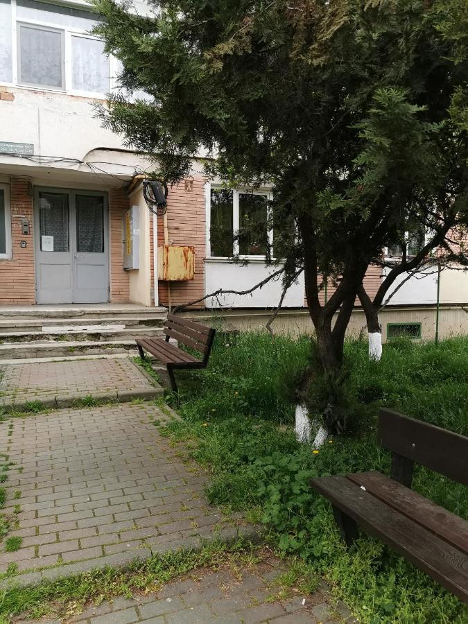 Apartament Asr Piatra Neamţ Dış mekan fotoğraf